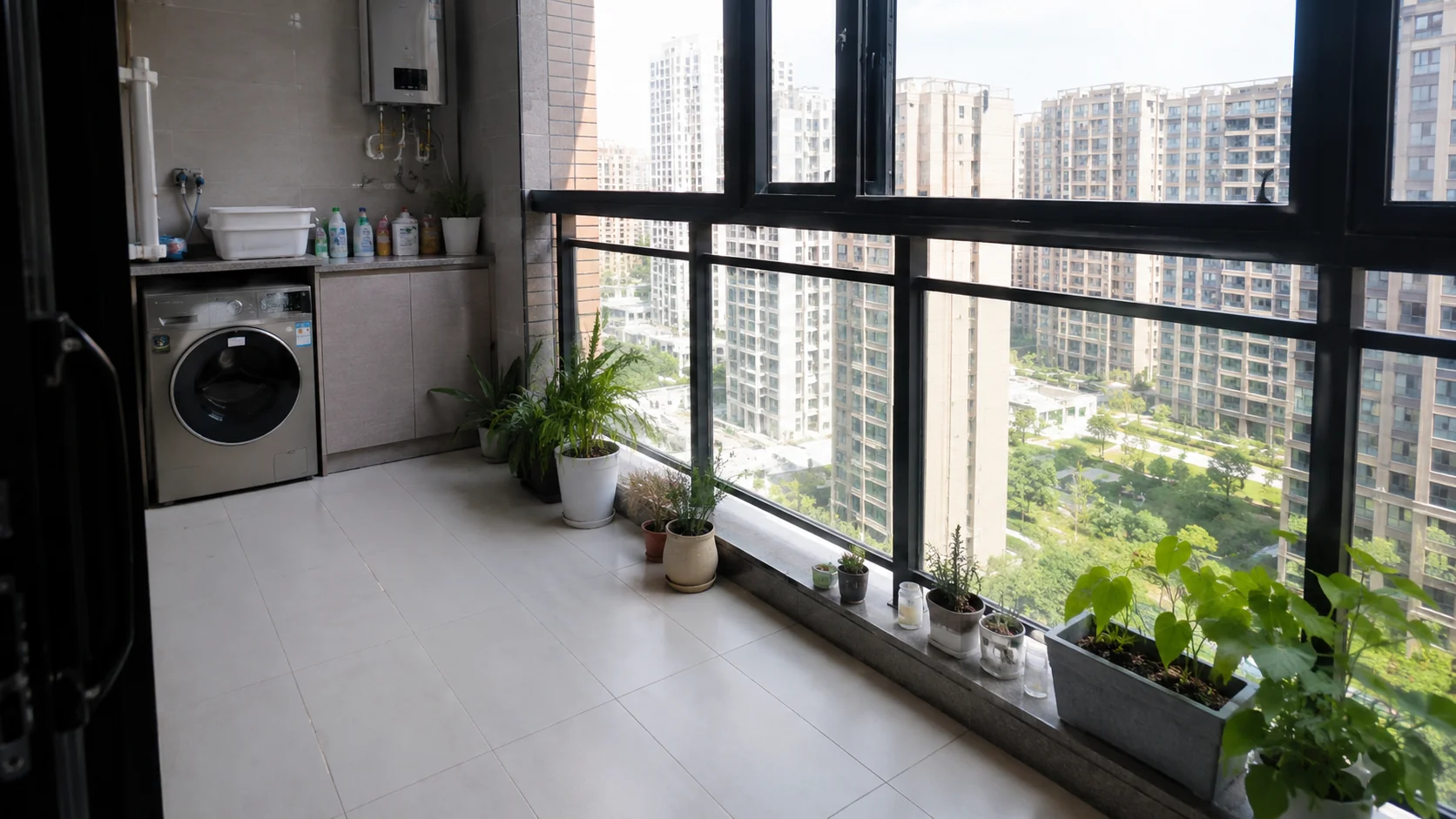 猫咪短视频阳台场景